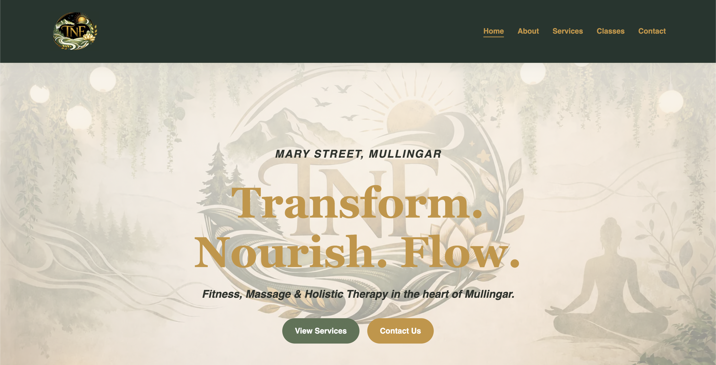 TNF Wellness Clinic website homepage
